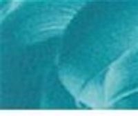 Low Fire Enamel Paint