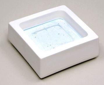 Wardell Foot Casting