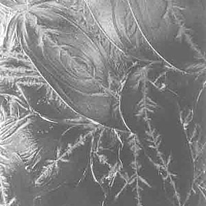 glue chip glass