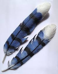 modeling glass feathers