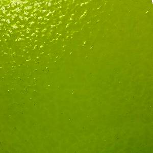 medium yellow green glass
