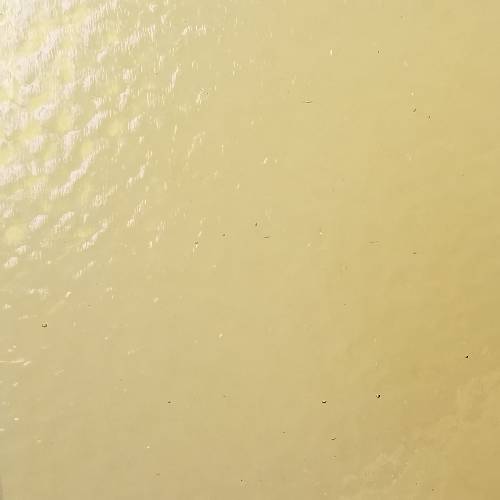 medium amber corella glass